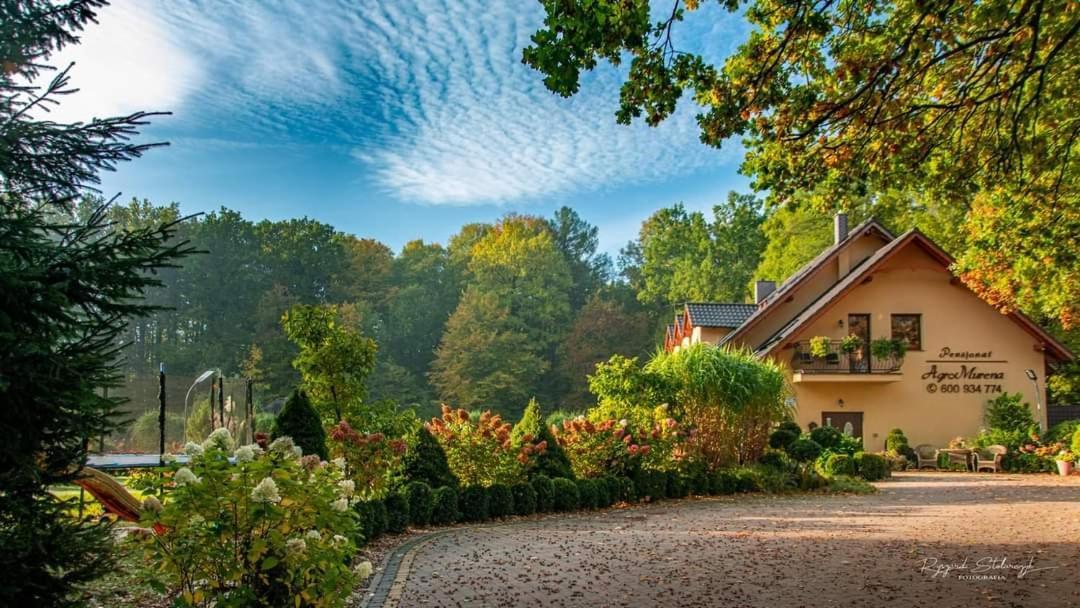Agromurena Gryfów Śląski Buitenkant foto