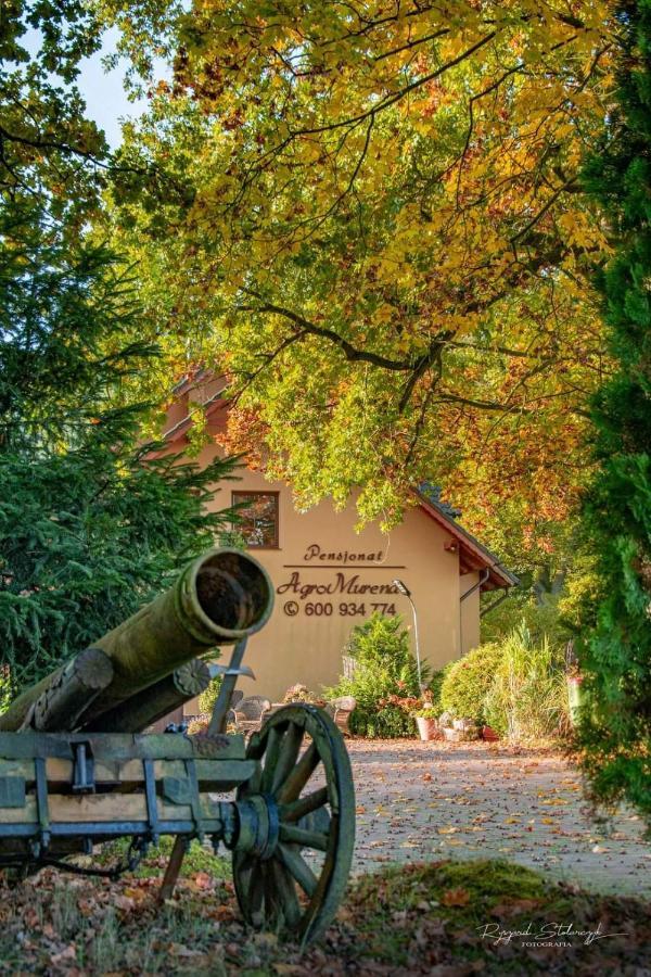Agromurena Gryfów Śląski Buitenkant foto