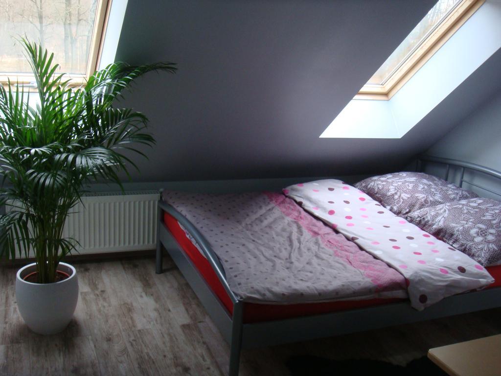 Agromurena Gryfów Śląski Buitenkant foto