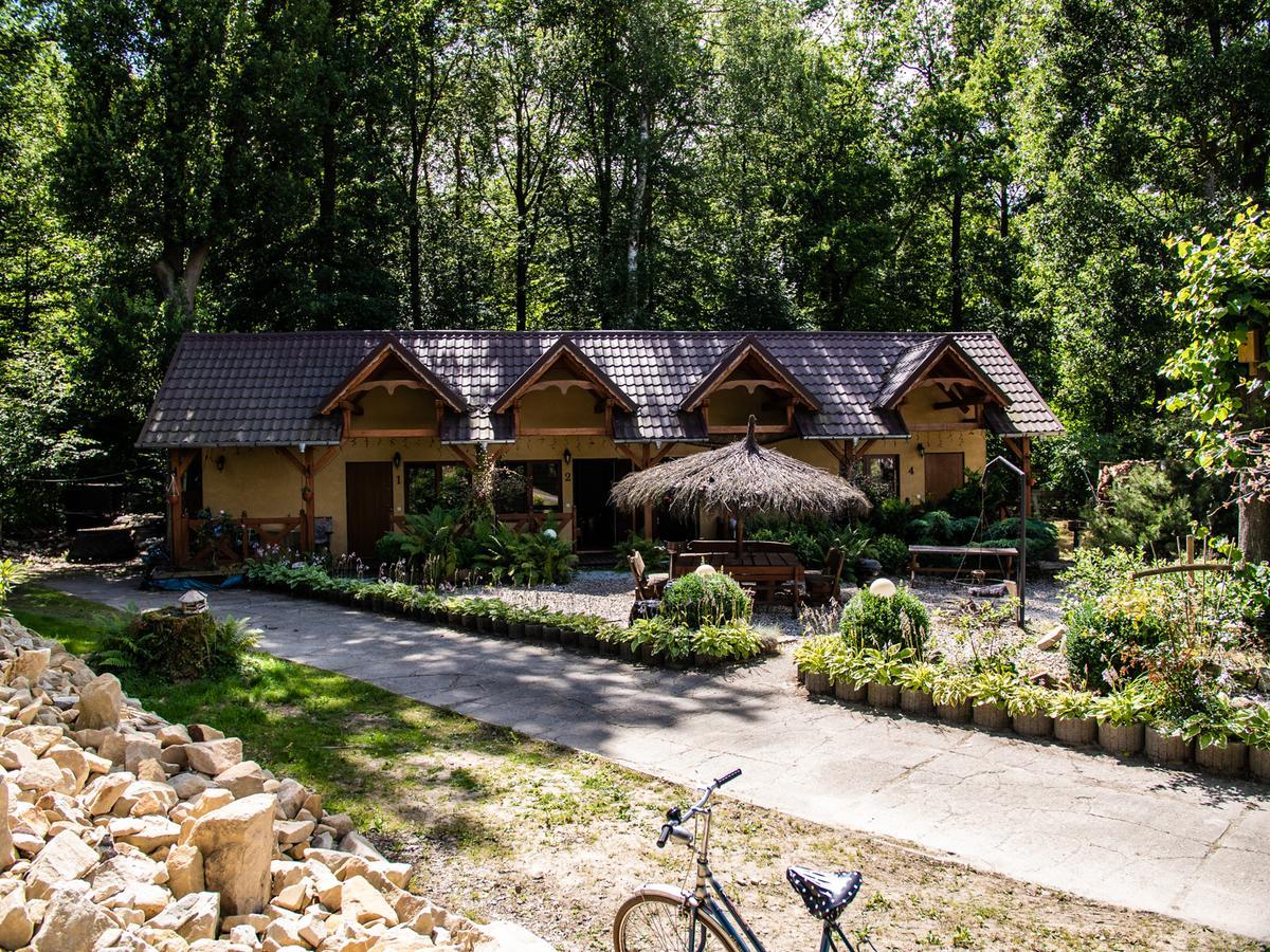 Agromurena Gryfów Śląski Buitenkant foto