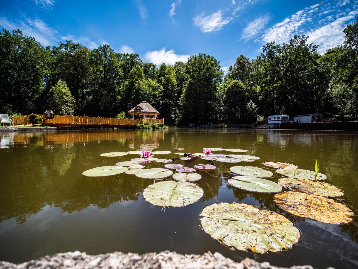 Agromurena Gryfów Śląski Buitenkant foto